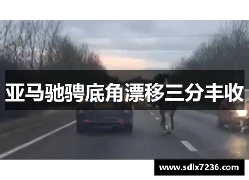 亚马驰骋底角漂移三分丰收